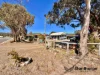 31 Walters Road, Glen Aplin, Qld 4381-Image