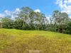 310 Arthur Road, Corndale, NSW 2480-Image