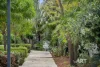 310 Mill Point Road, South Perth, WA 6151-Image