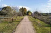 3107 Eleventh Street, Irymple, Vic 3498-Image