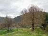 311 Day Ave, Omeo, Vic 3898-Image