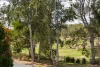 311 Indooroopilly Road, Indooroopilly, Qld 4068-Image