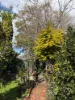 311 Onslow Road, Shenton Park, WA 6008-Image