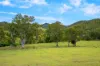 3111 Esk Kilcoy Road, Hazeldean, Qld 4515-Image