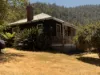 312 Glen Dhu Road, Molesworth, Tas 7140