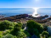 312 Port Road, Boat Harbour Beach, Tas 7321-Image