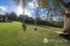 312 Wollong Road, Quorrobolong, NSW 2325-Image
