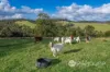 312 Wollong Road, Quorrobolong, NSW 2325-Image