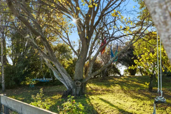 312 Wrights Lane, Northdown, Tas 7307