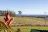 312 Wrights Lane, Northdown, Tas 7307-Image