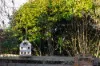 312 Wrights Lane, Northdown, Tas 7307-Image