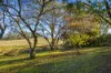 312 Wrights Lane, Northdown, Tas 7307-Image
