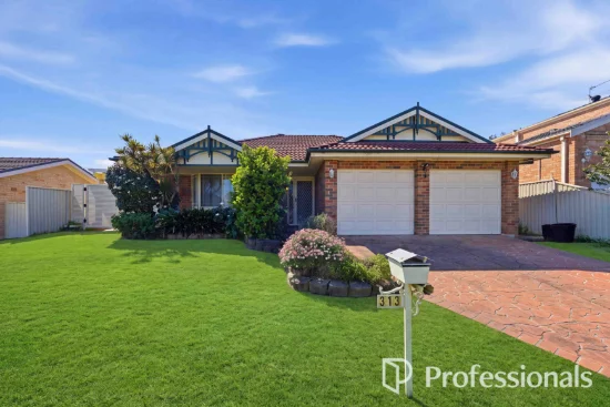 313 Braidwood Drive, Prestons, NSW 2170