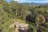 313 Clothiers Creek Road, Nunderi, NSW 2484-Image