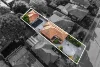 313 King Georges Road, Beverly Hills, NSW 2209-Image
