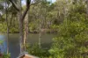 313 South Head Road, Moruya Heads, NSW 2537-Image