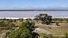 313 Stearne Road, Monjingup, WA 6450-Image