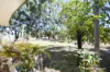 313 Stearne Road, Monjingup, WA 6450-Image