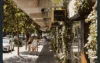 314 Harcourt Street, Teneriffe, Qld 4005-Image