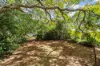 314 Hume Street, Centenary Heights, Qld 4350-Image