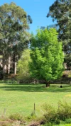 314 Kelcey Tier Road, Devonport, Tas 7310-Image