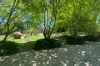 315 Deans Marsh Lorne Road, Deans Marsh, Vic 3235-Image