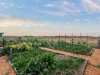 315 Fishers Rd, Mount Duneed, Vic 3217-Image