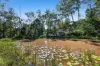 315 Trees Road, Tallebudgera, Qld 4228-Image