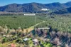 316 Great Alpine Road, Bright, Vic 3741-Image
