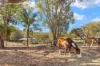 3162 Beechmont Road, Witheren, Qld 4275-Image