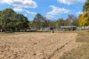 3162 Beechmont Road, Witheren, Qld 4275-Image
