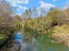 3162 Beechmont Road, Witheren, Qld 4275-Image