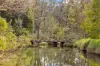 3162 Beechmont Road, Witheren, Qld 4275-Image