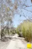 317 Macs Reef Road, Bywong, NSW 2621-Image