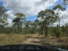 317 Whytallabah Road, Euleilah, Qld 4674-Image