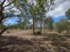 317 Whytallabah Road, Euleilah, Qld 4674-Image