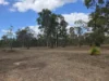 317 Whytallabah Road, Euleilah, Qld 4674-Image