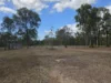 317 Whytallabah Road, Euleilah, Qld 4674-Image