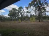 317 Whytallabah Road, Euleilah, Qld 4674-Image