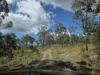317 Whytallabah Road, Euleilah, Qld 4674-Image