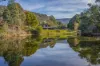 318 Bakers Creek Road, Lucaston, Tas 7109-Image