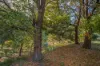 318 Bakers Creek Road, Lucaston, Tas 7109-Image