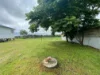 318 Dollys Flat Road, Dollys Flat, NSW 2429-Image