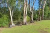 318 MOULAMEIN Road, Barham NSW 2732-Image