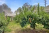 318 Rubicon Road, Rubicon, Vic 3712-Image