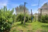 318 Rubicon Road, Rubicon, Vic 3712-Image