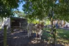 318 Toolborough Road, Yandina Creek, Qld 4561-Image