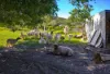 318 Toolborough Road, Yandina Creek, Qld 4561-Image
