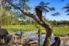 318 Toolborough Road, Yandina Creek, Qld 4561-Image