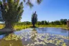 318 Toolborough Road, Yandina Creek, Qld 4561-Image